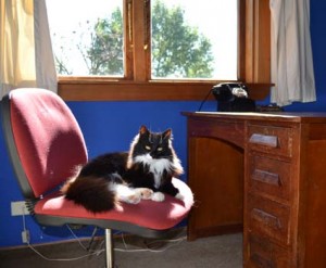 The Editor