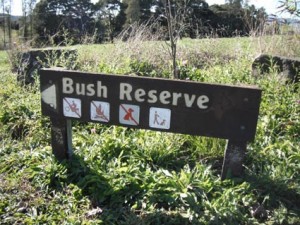 The place to be