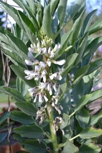 20121101-094234.jpg